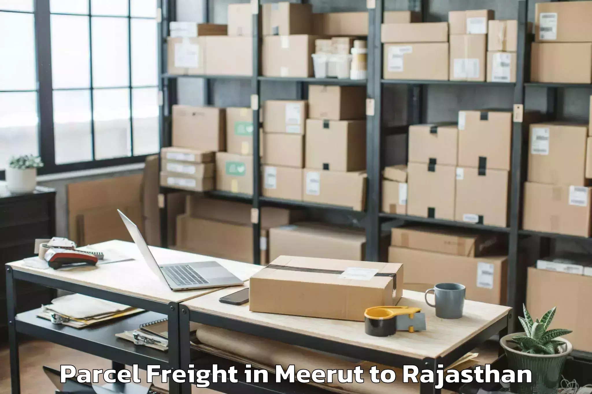 Leading Meerut to Osian Parcel Freight Provider